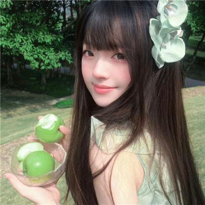 纽约鼠患