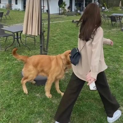 训练者！